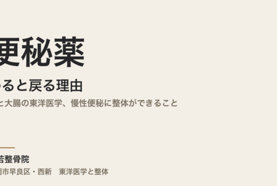 便秘薬をやめると戻る理由｜肺と大腸の東洋医学、慢性便秘に整体ができること