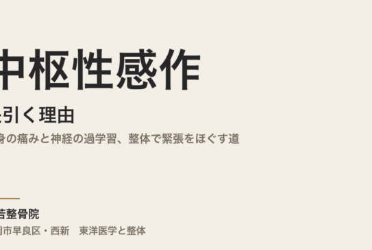 中枢性感作が長引く理由｜全身の痛みと神経の過学習、整体で緊張をほぐす道