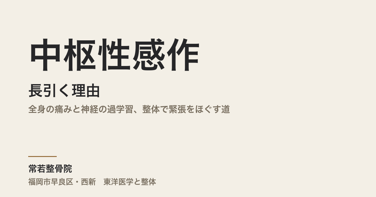 中枢性感作が長引く理由｜全身の痛みと神経の過学習、整体で緊張をほぐす道