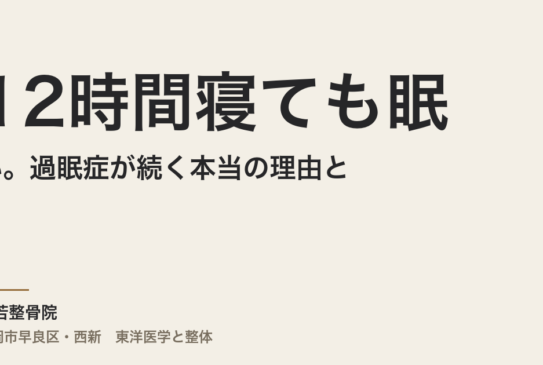 12時間寝ても眠い。過眠症が続く本当の理由と、体の底力を取り戻す整え方