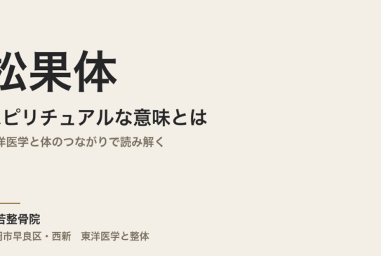 松果体のスピリチュアルな意味とは｜東洋医学と体のつながりで読み解く