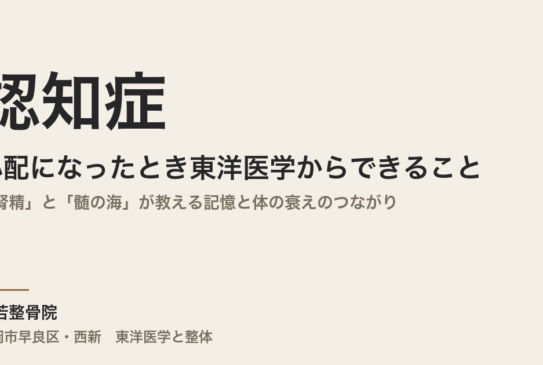 認知症が心配になったとき東洋医学からできること｜「腎精」と「髄の海」が教える記憶と体の衰えのつながり