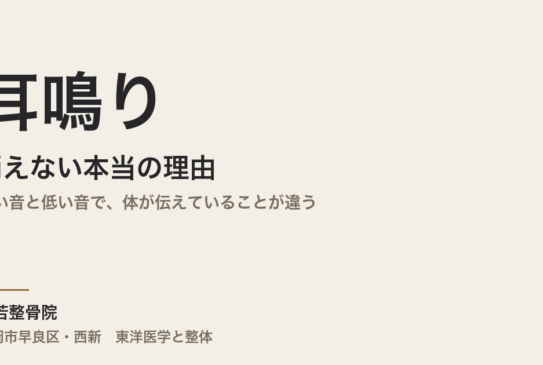 耳鳴りが消えない本当の理由｜高い音と低い音で、体が伝えていることが違う