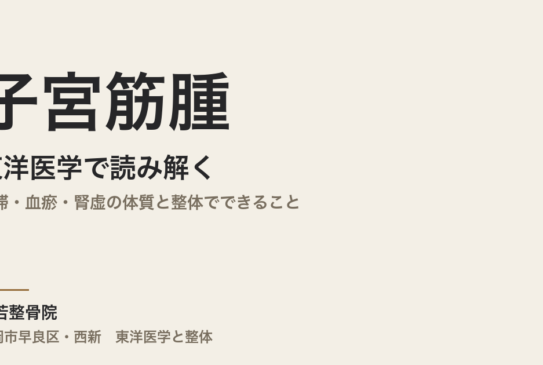 子宮筋腫を東洋医学で読み解く｜気滞・血瘀・腎虚の体質と整体でできること