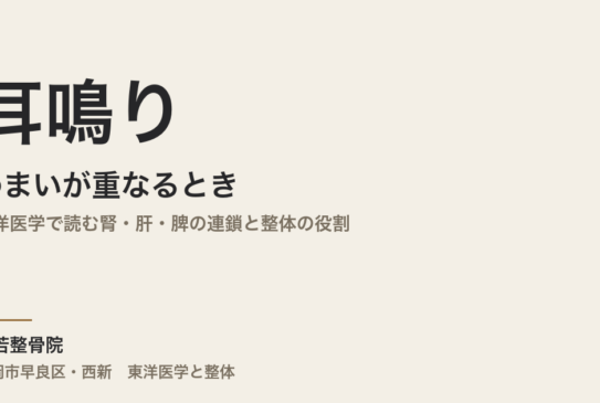 耳鳴りとめまいが重なるとき｜東洋医学で読む腎・肝・脾の連鎖と整体の役割