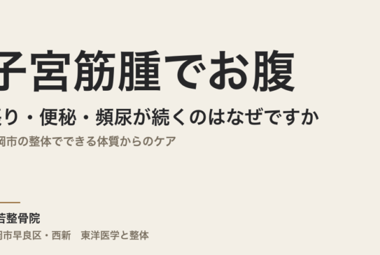 子宮筋腫でお腹の張り・便秘・頻尿が続くのはなぜですか｜福岡市の整体でできる体質からのケア
