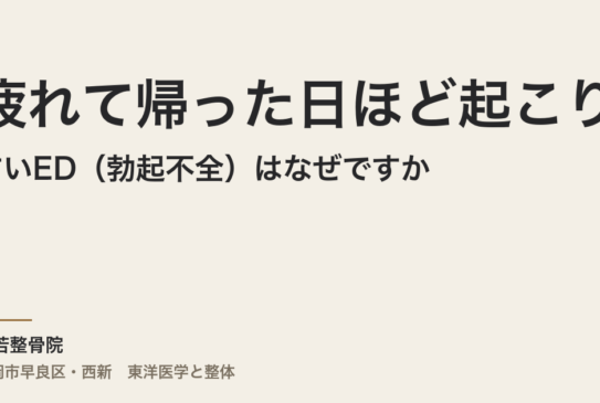 疲れて帰った日ほど起こりやすいED（勃起不全）はなぜですか｜福岡市・常若整骨院