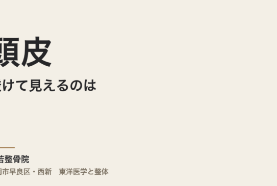 頭皮が透けて見えるのは、光の加減だけですか