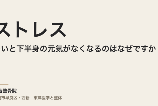 ストレスが多いと下半身の元気がなくなるのはなぜですか
