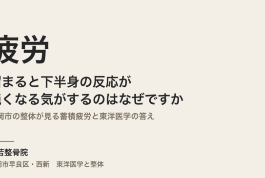 疲労が溜まると下半身の反応が鈍くなる気がするのはなぜですか｜福岡市の整体が見る蓄積疲労と東洋医学の答え