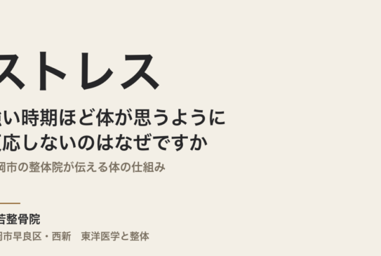 ストレスが強い時期ほど体が思うように反応しないのはなぜですか｜福岡市の整体院が伝える体の仕組み