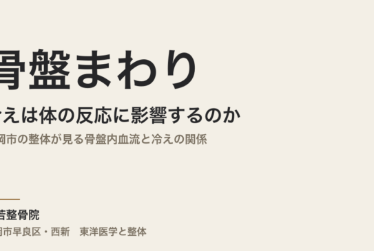骨盤まわりの冷えは体の反応に影響するのか｜福岡市の整体が見る骨盤内血流と冷えの関係