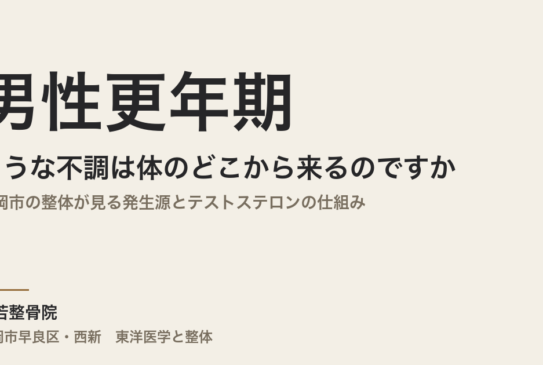 男性更年期のような不調は体のどこから来るのですか｜福岡市の整体が見る発生源とテストステロンの仕組み