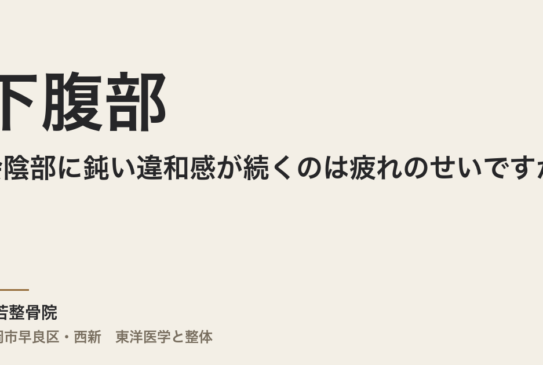 下腹部や会陰部に鈍い違和感が続くのは疲れのせいですか