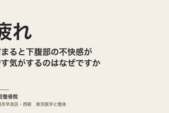 疲れが溜まると下腹部の不快感が増す気がするのはなぜですか