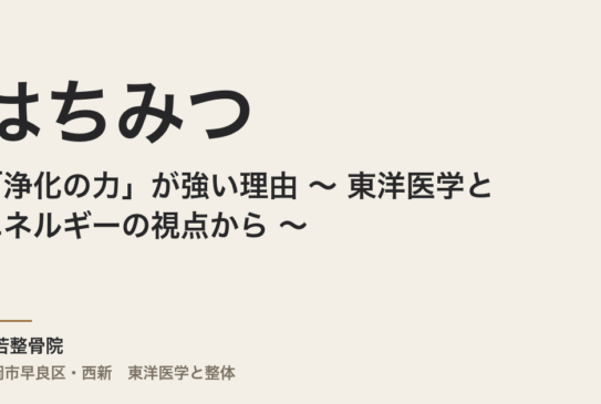 はちみつの「浄化の力」が強い理由 〜 東洋医学とエネルギーの視点から 〜