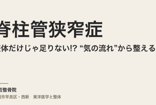 整体だけじゃ足りない!? “気の流れ”から整える、脊柱管狭窄症との新しい向き合い方