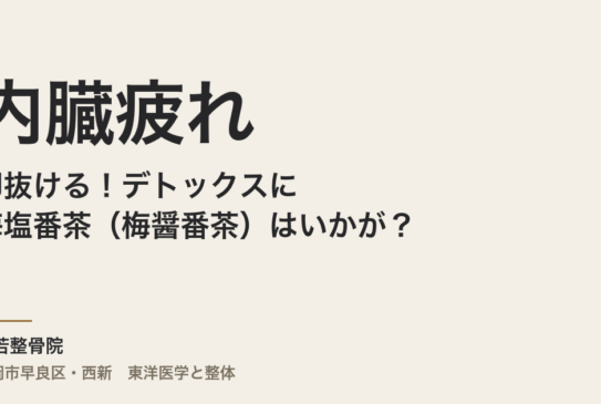 内臓疲れが即抜ける！デトックスに梅塩番茶（梅醤番茶）はいかが？